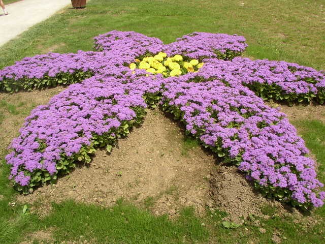 vrt-cvijece-floraart